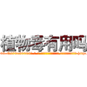 植物毒有用吗 (植物毒有用吗【电-186x2687x6963-Q278180069元-吉-药-业】我们做的是长期生意,靠的是老客户长期支持 http://sngk.net/CN8h7r
)