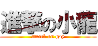 進撃の小龍 (attack on gay)