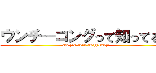 ウンチーコングって知ってる？ (Do you know unchy kong?)