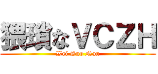 猥瑣なＶＣＺＨ (Wei Suo Nan)