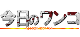 今日のワンコ (kyouno wannko)