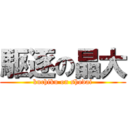 駆逐の晶大 (kuchiku on shodai)