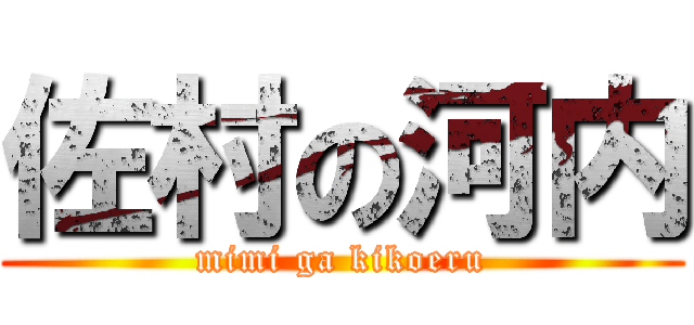 佐村の河内 (mimi ga kikoeru)