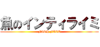 魚のインティライミ (FISH FACE)