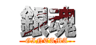 銀魂 (GINTAMA)