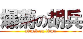 爆菊の胡兵 (attack on titan)