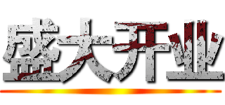盛大开业 ()