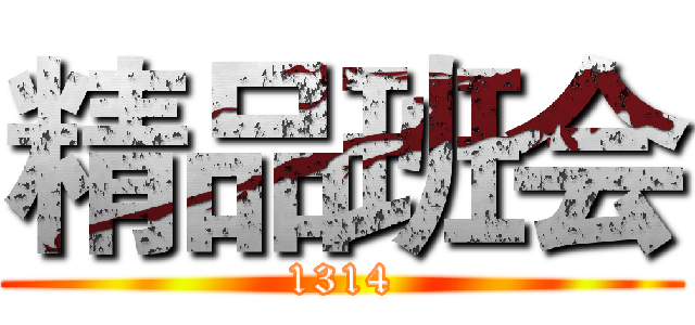 精品班会 (1314)