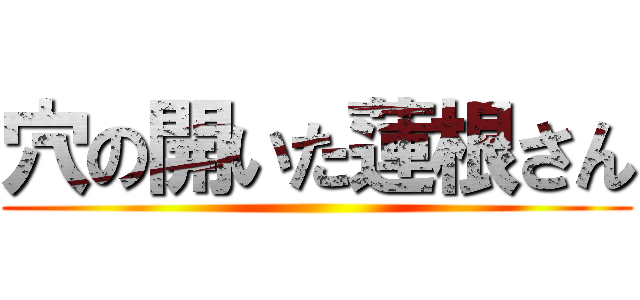 穴の開いた蓮根さん ()