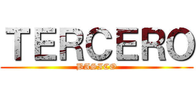 ＴＥＲＣＥＲＯ (BASICO)