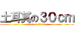 土耳其の３０ｃｍ (attack on Turkey)