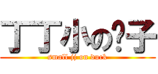 丁丁小の鸭子 (small jj on duck)