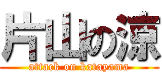 片山の涼 (attack on katayama)