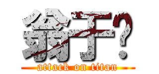 翁于婷 (attack on titan)