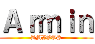 Ａｒｍｉｎ (AMIGOS)