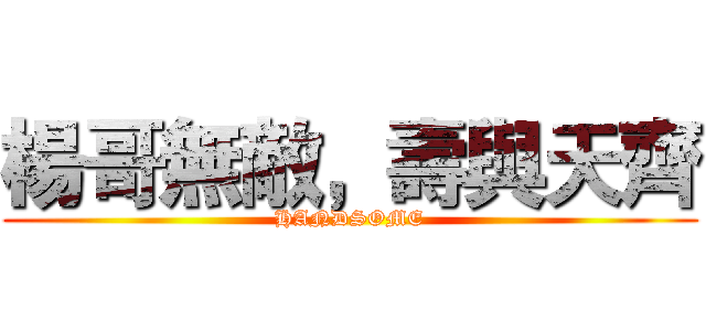 楊哥無敵，壽與天齊 (HANDSOME)