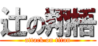 辻の翔梧 (attack on titan)