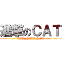 進撃のＣＡＴ (CAT NEED SEX)