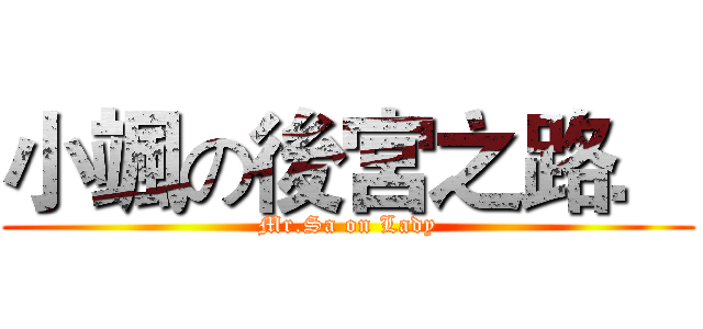小颯の後宮之路． (Mr.Sa on Lady)
