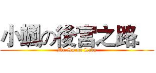 小颯の後宮之路． (Mr.Sa on Lady)