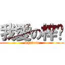我愛の梓喵 (Shadow)