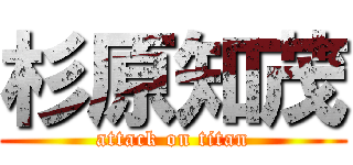 杉原知茂 (attack on titan)