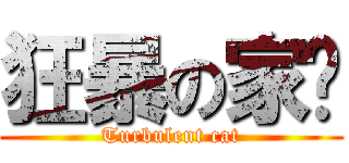 狂暴の家貓 (Turbulent cat)