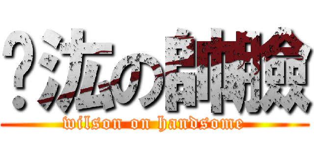 韡汯の帥臉 (wilson on handsome)