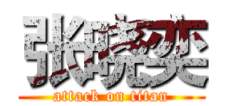 张晓奕 (attack on titan)