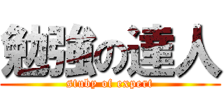 勉強の達人 (stuby of expert)