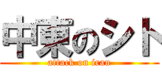 中東のシト (attack on iran)