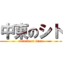 中東のシト (attack on iran)