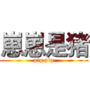 崽崽是猪 (pig pig)