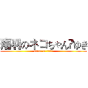 殤羽のネコちゃん☬ゆき (attack on titan)