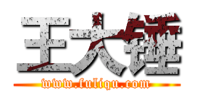 王大锤 (www.fuliqu.com)