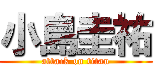 小島圭祐 (attack on titan)