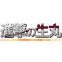 進撃の生丸 (attack on namaru)