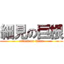 細見の巨根 (attack on titan)