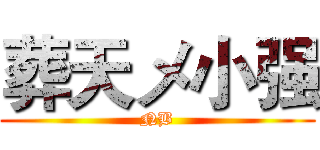 葬天メ小强 (NB)