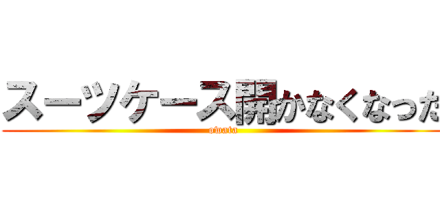 スーツケース開かなくなった (owata)