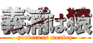 義浦は猿 (yosiura is monkey)