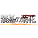 禁基の菊花  (attack on theanus)