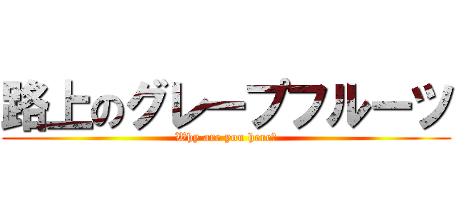 路上のグレープフルーツ (Why are you here?)