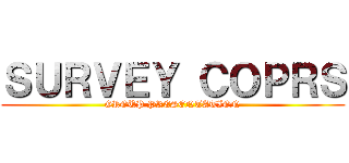 ＳＵＲＶＥＹ ＣＯＰＲＳ (GROUP PRESENTATION)