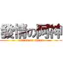 發情の阿神 (estrus on shinn)
