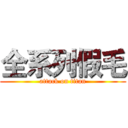 全系列假毛 (attack on titan)