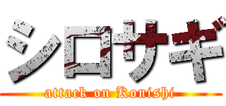 シロサギ (attack on Konishi)