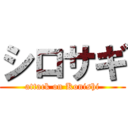 シロサギ (attack on Konishi)