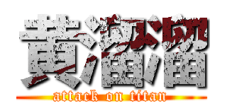 黄溜溜 (attack on titan)