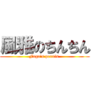 風雅のちんちん (Fuga's pennis )